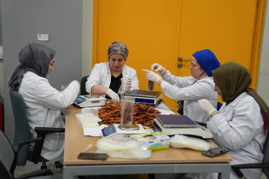 Kadınların gözde besin takviyesi kolajeni doğal yollarla ürettiler: Cips olarak satıyorlar 4